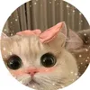 xanmihama5