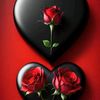 zamanhussain.786