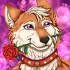 puppy_rieker