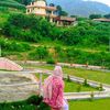 aafreen366