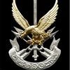blacktaigararmy33