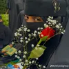 sssss45s6