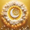 user5311560253095