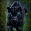 carlacarlin46
