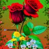 user92136318551486