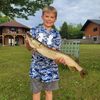 daltonbeaudette