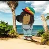 aziz_binger