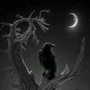 ravencass1