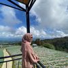 sweetsjya