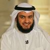 timah_m749