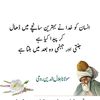 Ali Sheer