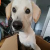franzi_4132