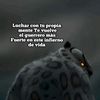 yabry_picado_1420