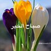 user6195155978657