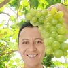 indra_grapes