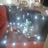 alanvinucar