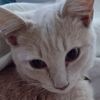karterthekat
