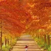 nhung.nhan7