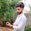 shehry.haral