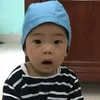 f.cgdd