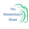 themomentarymuse