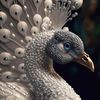 dawnilarwin70