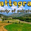 battagram_star