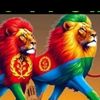 ዶናት 🇪🇷🇪🇷🇪🇷🇪🇷🇪🇷🇪🇷
