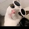 katarik_oy