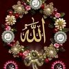 user19825630188027