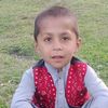 user2040621369818