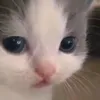 error.4.0.4