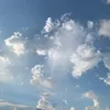 coichungtaoa123