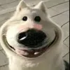 taikhoannaykotontaii0