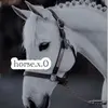 horse.x.0