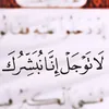 mlaj_313