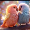 khang7932132