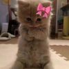 tutorials_95