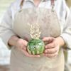 glorybe.ceramics