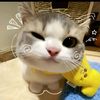 dinda_nst07