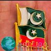 ghulam.haider.rajp