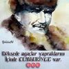 havvanurzcan