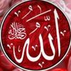 qurankariim41