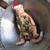 MEME GATO