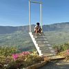 andreierbr3