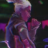 pet03171