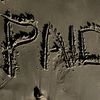 paidfirlyf