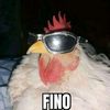 el.pollo.fino4