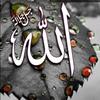 rafiq_tareen47