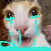 nhhehe4179